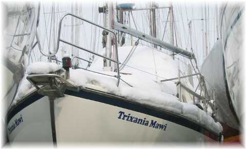 Trixania eingescheit